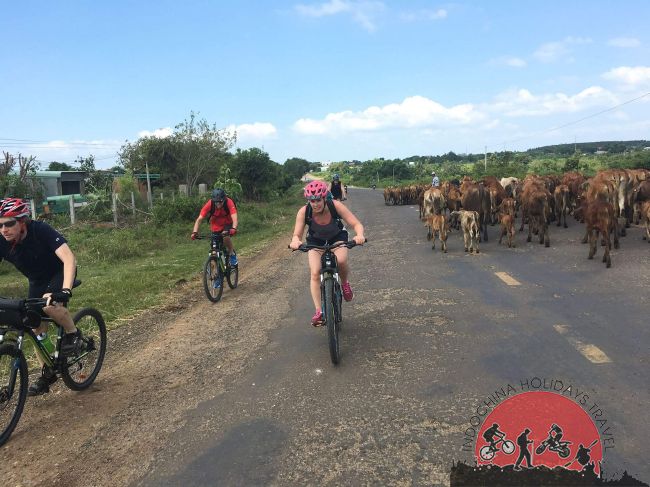 3 days Luang Prabang Free and Easy Cycling Tour