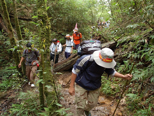 1 Day Luang Prabang Hike To Thin Pha Trail, Boat, and Tad Sae Waterfall