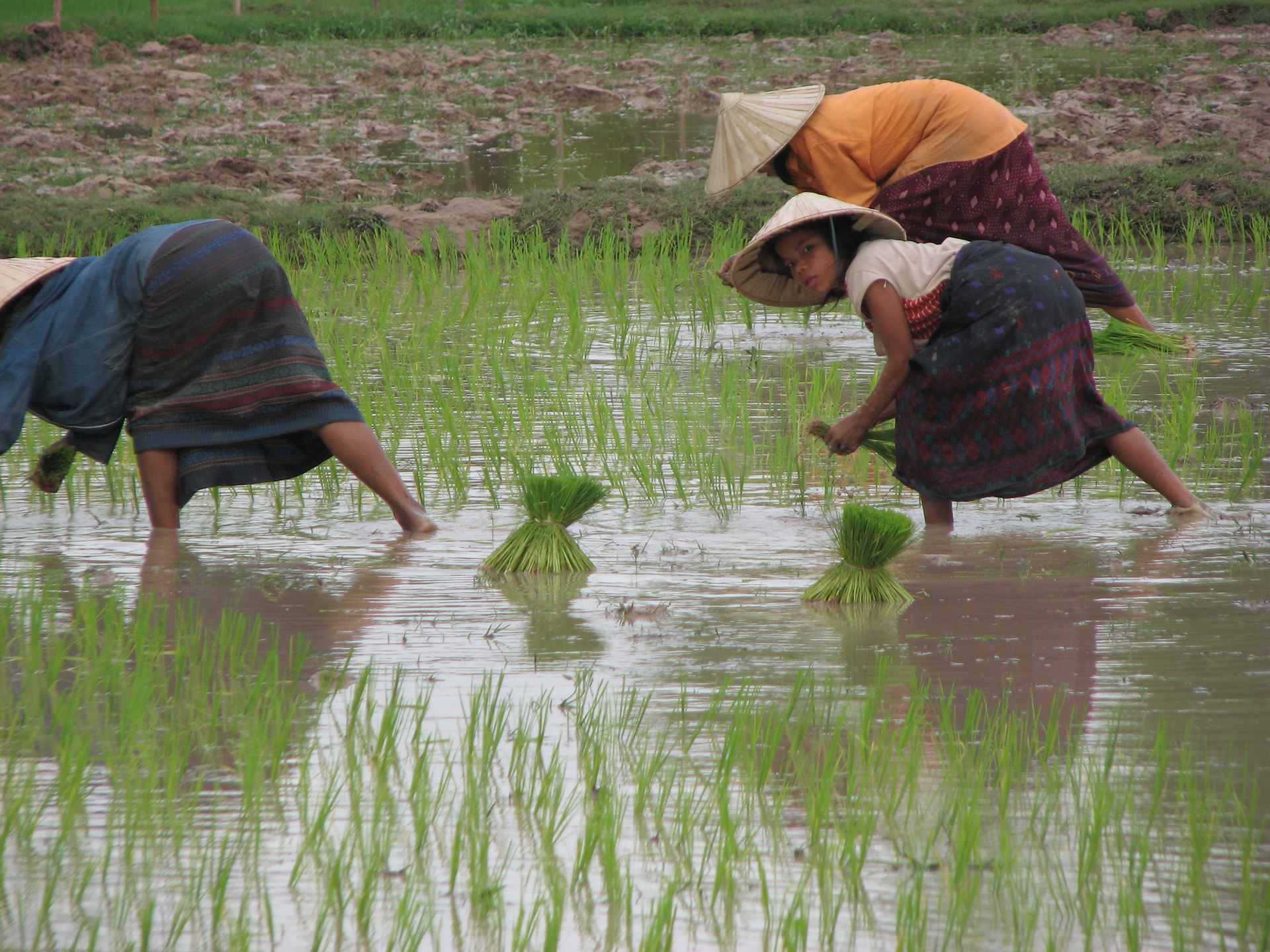 2 Days Luang Prabang Northern Ethnic Minorities Trek and Homestay