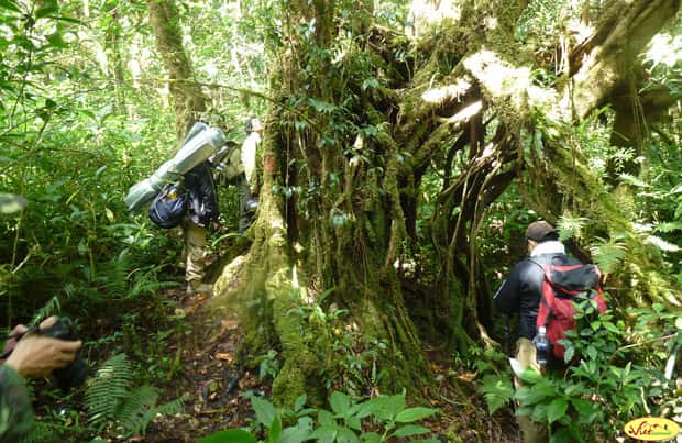 2 Days Trekking in Phou Kao Khouy & Homestay