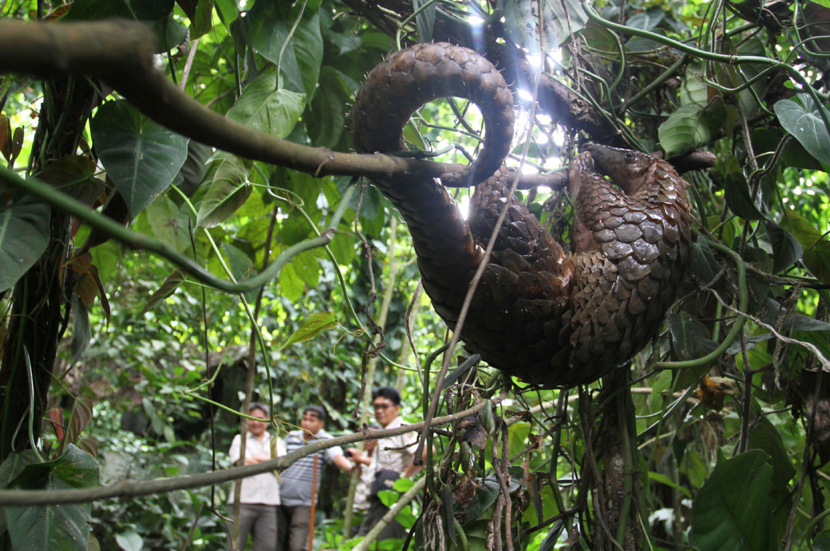 3 Days The Nam Nern River Safari