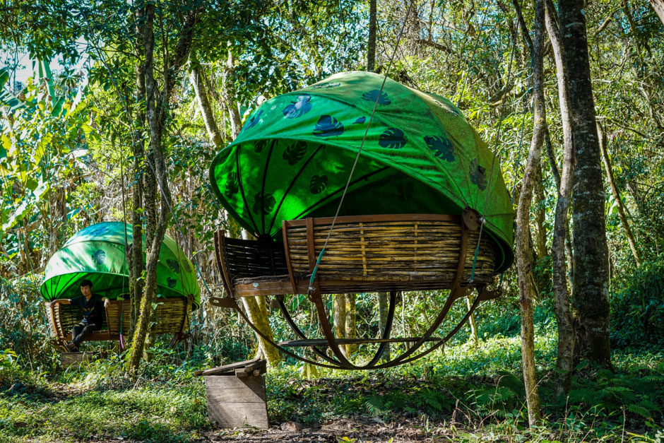 2 Days The Nests and Wildlife Observation Tower