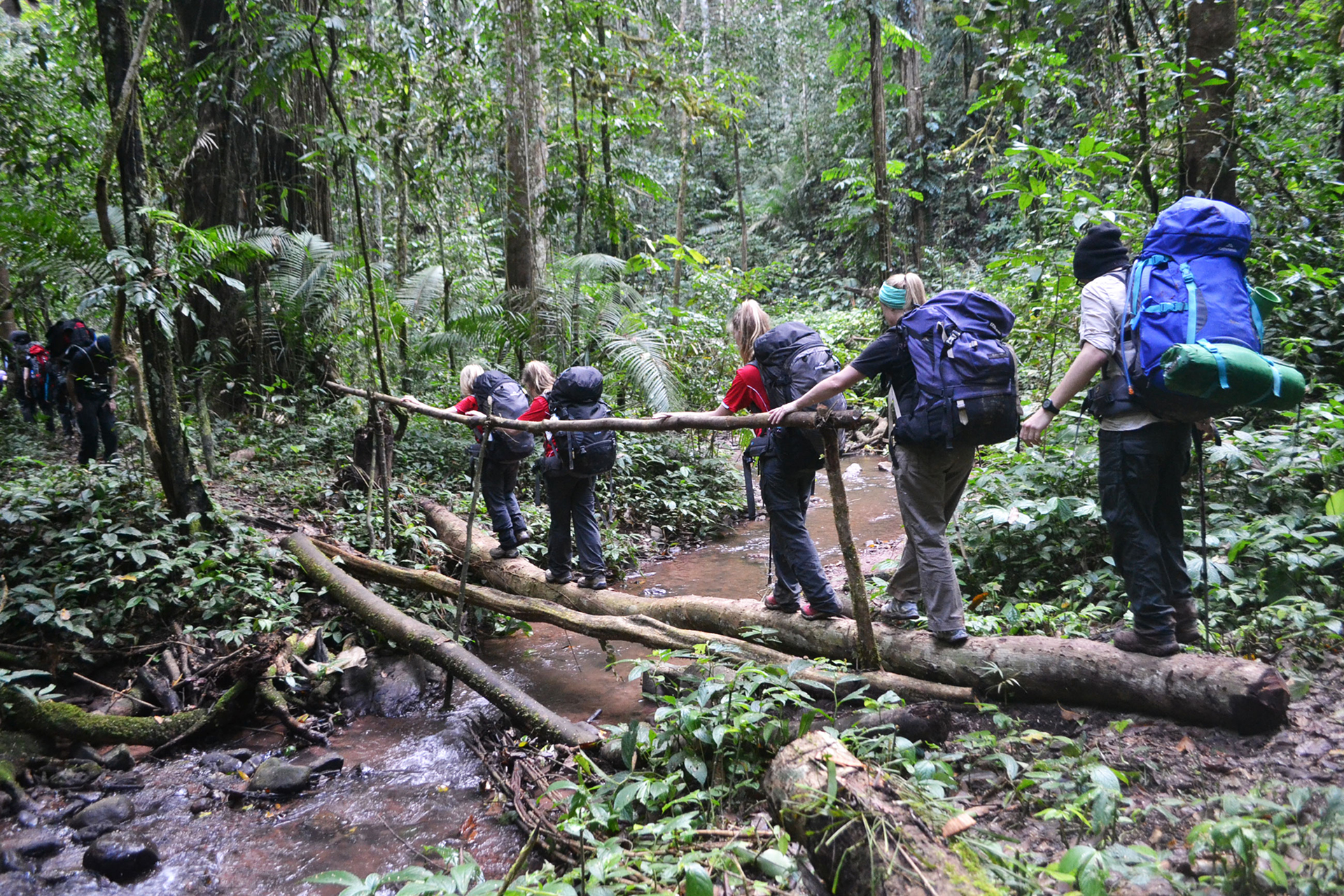 5 Days Phou Louey Mountain Summit Trekking Tour