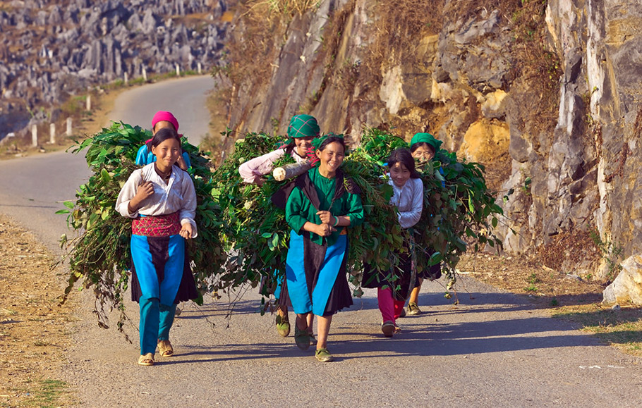 18 Days Luang Prabang Easy Trekking To Hanoi