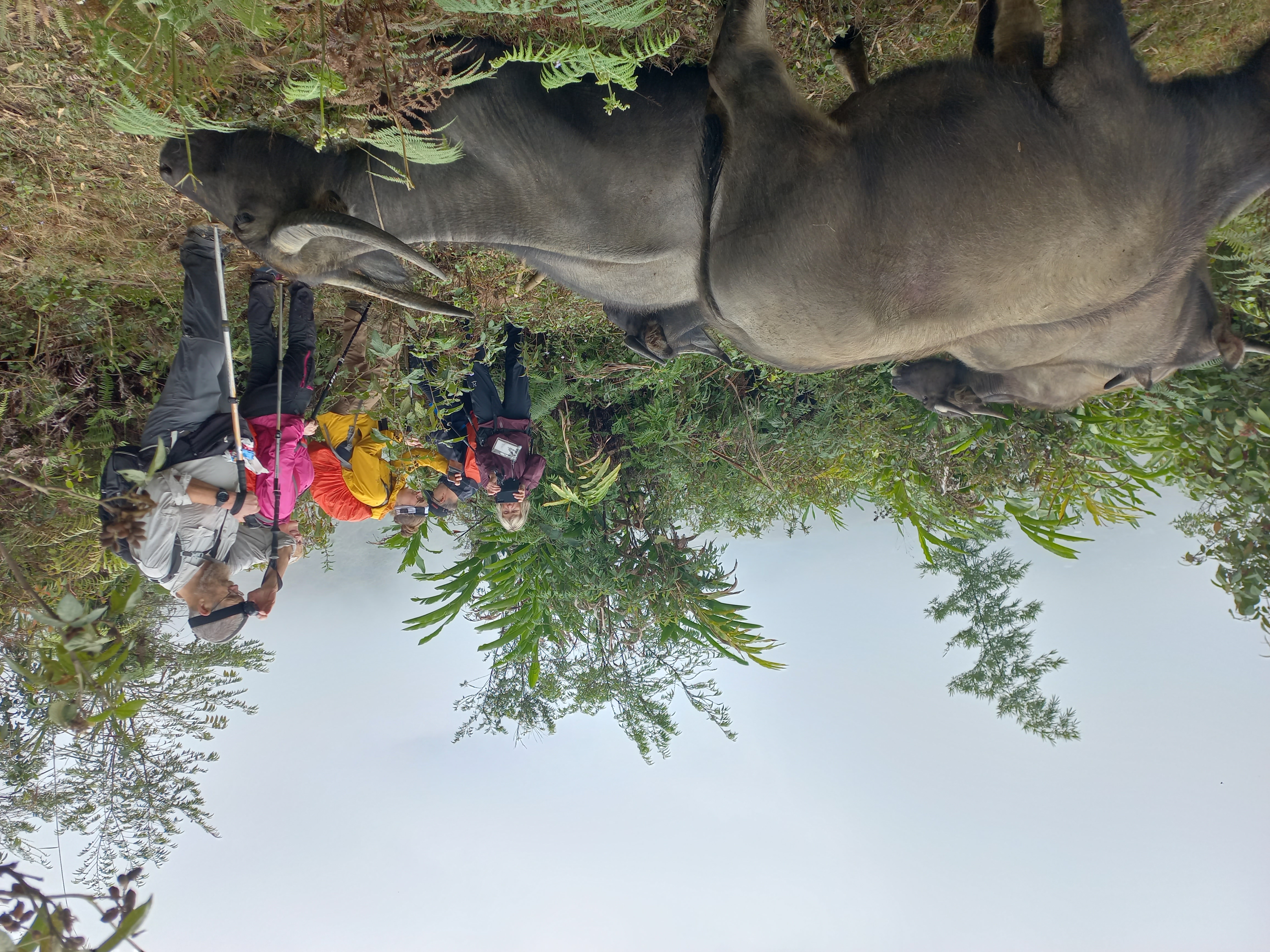 13 Days Northern Laos Authentic Trekking Tours