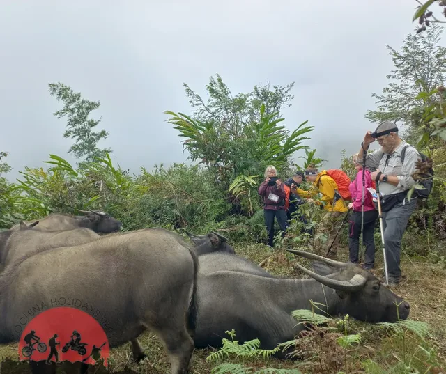 Trekking To Dam – Sopngam – Peryanxangmai – Peryenxangkao – Chakhampa – 2 Days 3